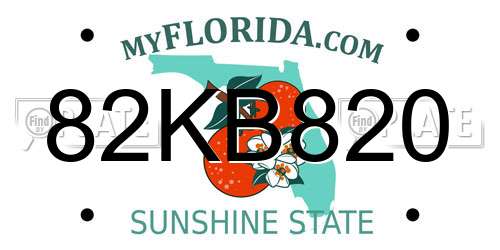 82KB820 Florida License Plate