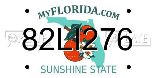 82LI276 Florida License Plate