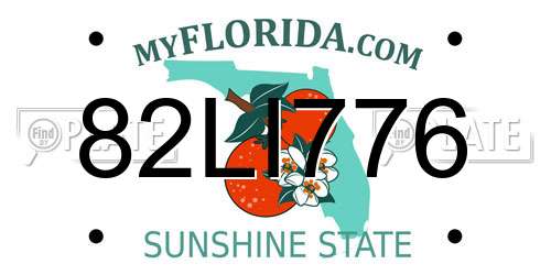 82LI776 Florida License Plate