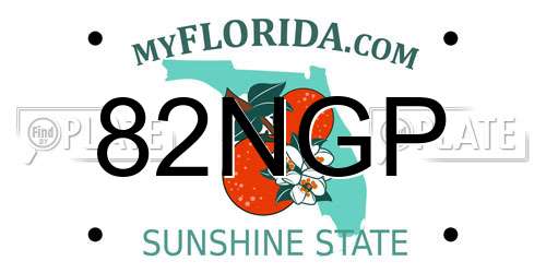 82NGP Florida License Plate