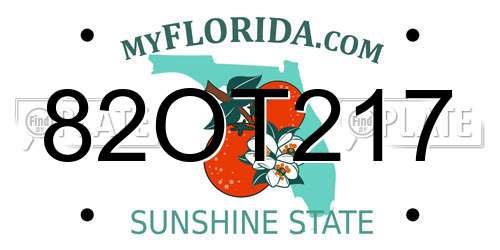 82OT217 Florida License Plate
