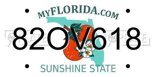 82OV618 Florida License Plate