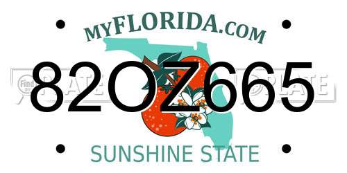 82OZ665 Florida License Plate