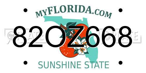 82OZ668 Florida License Plate