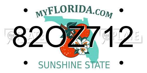 82OZ712 Florida License Plate
