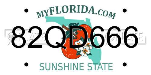 82QD666 Florida License Plate