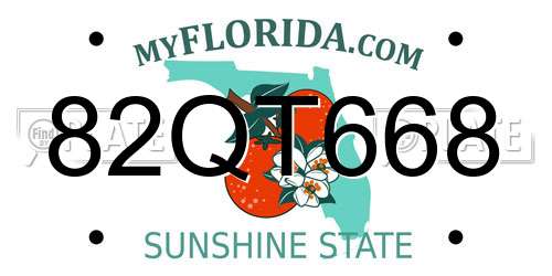 82QT668 Florida License Plate