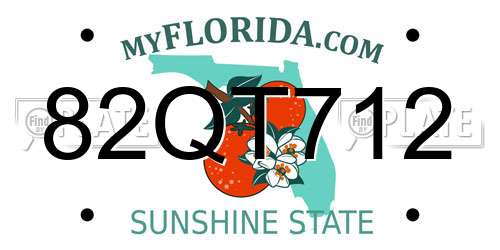 82QT712 Florida License Plate