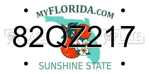 82QZ217 Florida License Plate