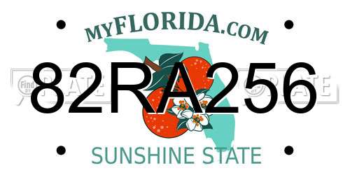 82RA256 Florida License Plate