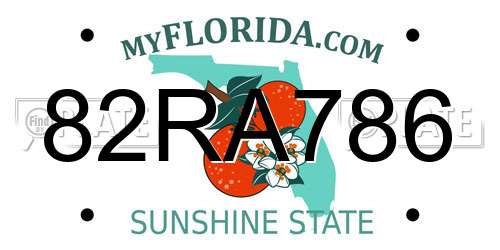 82RA786 Florida License Plate