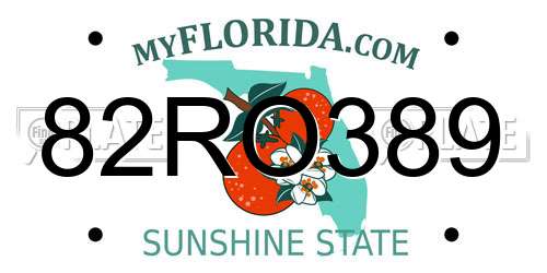 82RO389 Florida License Plate