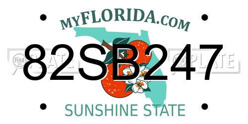 82SB247 Florida License Plate