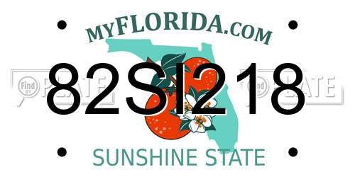 82SI218 Florida License Plate