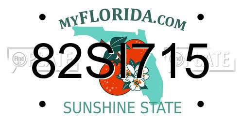 82SI715 Florida License Plate