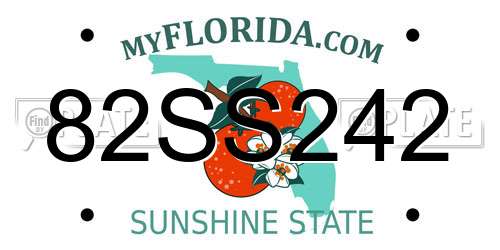 82SS242 Florida License Plate