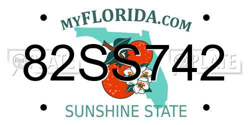 82SS742 Florida License Plate