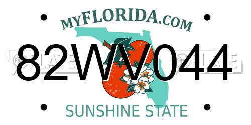 82WV044 Florida License Plate