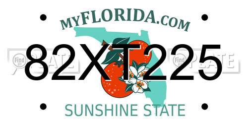 82XT225 Florida License Plate