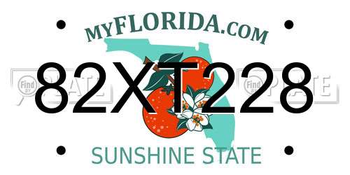 82XT228 Florida License Plate