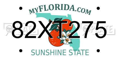 82XT275 Florida License Plate