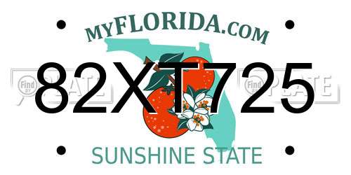 82XT725 Florida License Plate