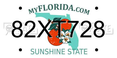 82XT728 Florida License Plate