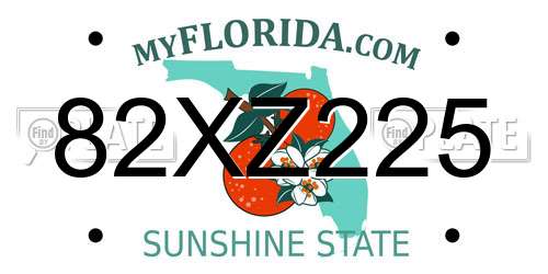 82XZ225 Florida License Plate
