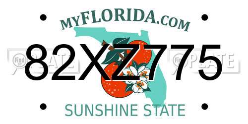 82XZ775 Florida License Plate