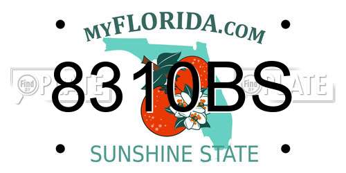 8310BS Florida License Plate
