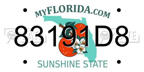 83191D8 Florida License Plate