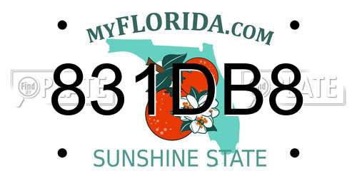 831DB8 Florida License Plate