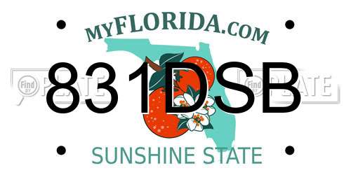 831DSB Florida License Plate