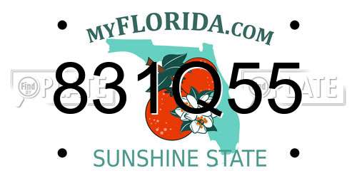 831Q55 Florida License Plate