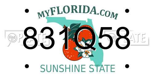 831Q58 Florida License Plate