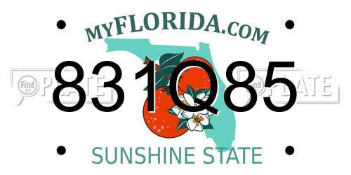 831Q85 Florida License Plate