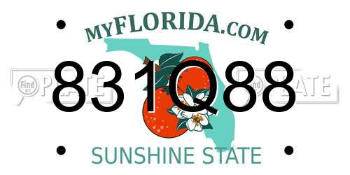 831Q88 Florida License Plate