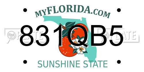 831QB5 Florida License Plate