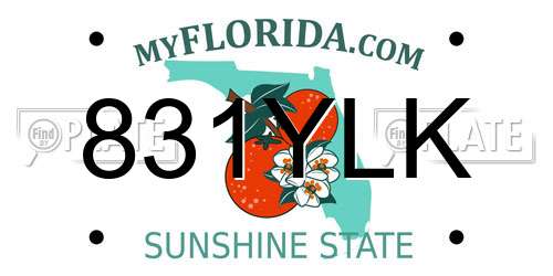 831YLK Florida License Plate