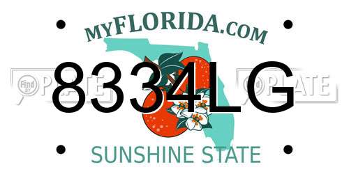 8334LG Florida License Plate