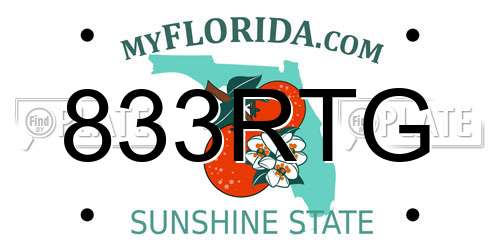 833RTG Florida License Plate