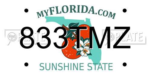 833TMZ Florida License Plate