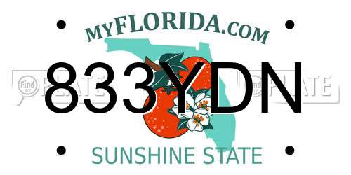 833YDN Florida License Plate