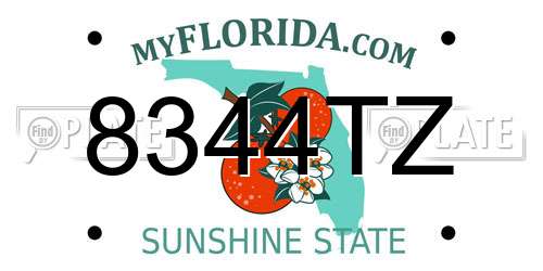 8344TZ Florida License Plate