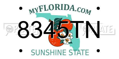 8345TN Florida License Plate