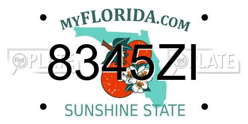 8345ZI Florida License Plate
