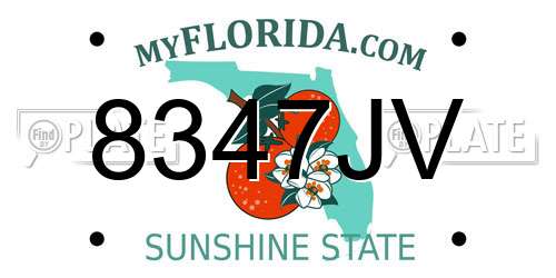 8347JV Florida License Plate