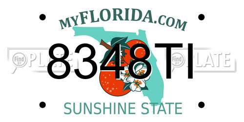 8348TI Florida License Plate