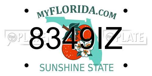 8349IZ Florida License Plate