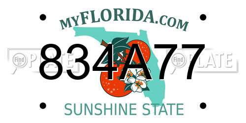 834A77 Florida License Plate